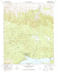 Fawnskin 1971 topographic map thumbnail
