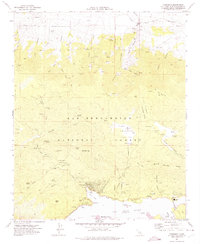 Fawnskin 1971 topographic map thumbnail