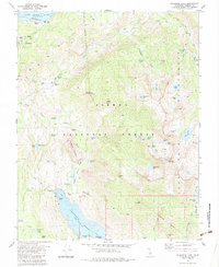 Florence Lake 1983 topographic map thumbnail