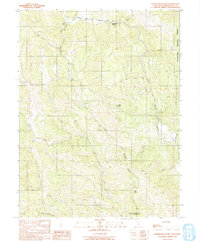 Foster Mountain 1991 topographic map preview