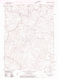 Gasquet NW topographic map thumbnail