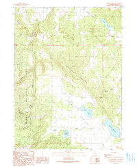 Graven Ridge 1990 topographic map thumbnail