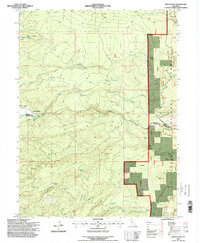 Grays Peak 1995 topographic map thumbnail