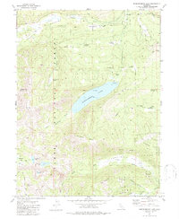 Independence Lake 1981 topographic map thumbnail