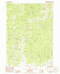 Indian Creek Baldy 1984 topographic map thumbnail