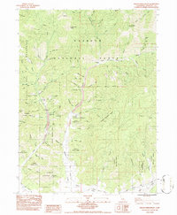 Indian Creek Baldy 1984 topographic map thumbnail
