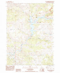 Iron Gate Reservoir 1984 topographic map thumbnail
