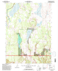 Jacks Butte 1993 topographic map thumbnail