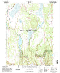 Jacks Butte 1993 topographic map thumbnail