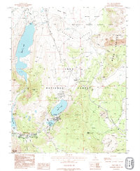 June Lake 1992 topographic map thumbnail