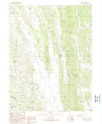 Leesville 1989 topographic map preview