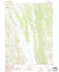 Leesville 1989 topographic map thumbnail