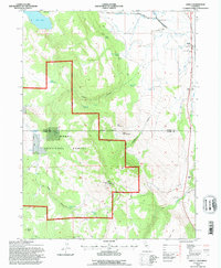 Likely 1993 topographic map thumbnail