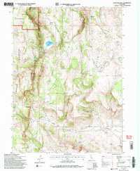 Little Hat Mtn. 1993 topographic map thumbnail