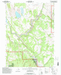 Little Valley 1995 topographic map thumbnail