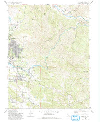 Lower Lake 1993 topographic map thumbnail