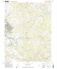 Lower Lake 1993 topographic map thumbnail