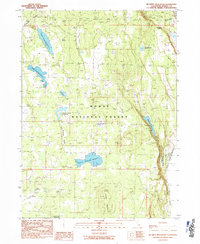Mc Ginty Reservoir 1990 topographic map thumbnail