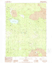 Medicine Lake 1988 topographic map thumbnail