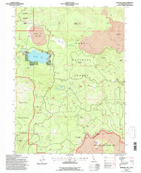 Medicine Lake 1993 topographic map thumbnail