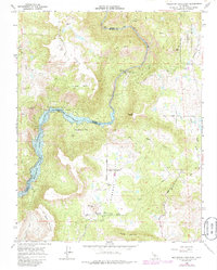 Millerton Lake East 1965 topographic map thumbnail