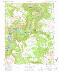 Millerton Lake East 1965 topographic map thumbnail