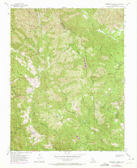 Mississippi Creek 1955 topographic map thumbnail