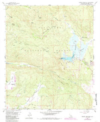 Morena Reservoir 1960 topographic map thumbnail