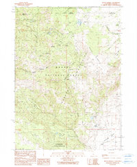 Mount Bidwell 1990 topographic map thumbnail