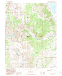 Mount Dana 1988 topographic map thumbnail
