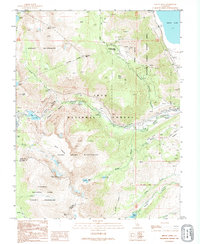 Mount Dana 1992 topographic map thumbnail