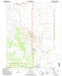 Mount Dome 1993 topographic map thumbnail