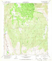 Mount Laguna 1960 topographic map thumbnail