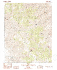 New York Butte 1987 topographic map thumbnail