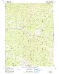 Newhouse Ridge 1967 topographic map thumbnail