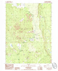 Old Station 1985 topographic map thumbnail