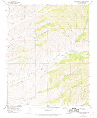 Pancho Rico Valley 1967 topographic map thumbnail