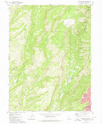 Paradise West 1980 topographic map thumbnail