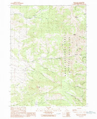 Payne Peak 1990 topographic map thumbnail
