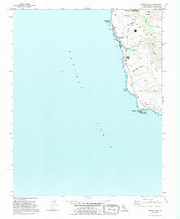 Pigeon Point 1991 topographic map thumbnail