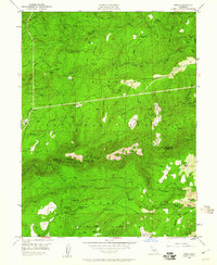 Pike 1949 topographic map preview