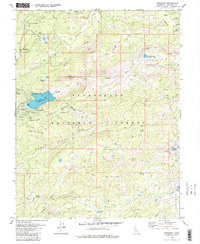 Pinecrest 1979 topographic map preview