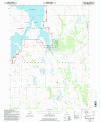 Pinnacle Lake 1993 topographic map thumbnail