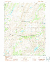 Piute Mountain 1990 topographic map thumbnail