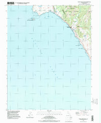 Point Ano Nuevo 1997 topographic map thumbnail