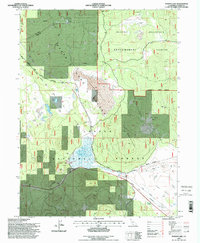 Poison Lake 1995 topographic map thumbnail