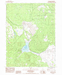 Poison Lake 1983 topographic map thumbnail