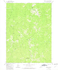 Prescott Mountain 1981 topographic map thumbnail