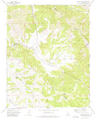 Priest Valley 1969 topographic map thumbnail