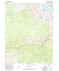 Pyramid Peak 1992 topographic map thumbnail